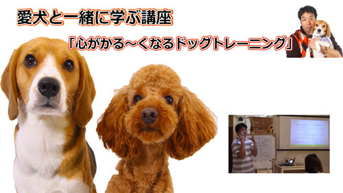 愛犬と飼い主を繋ぐ 犬と人のこころの講座 飼い主さんとワンちゃんの笑顔をお手伝い Cocorocompany